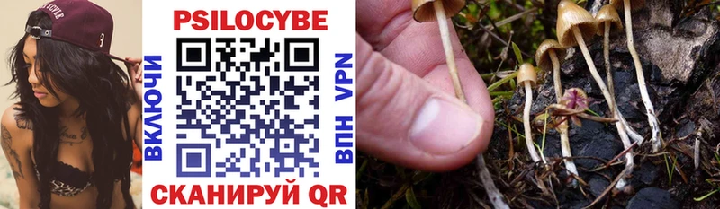 Псилоцибиновые грибы Psilocybe Ялта